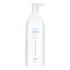 Aloxxi Hydrating Conditioner Liter