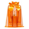 Keratherapy Color Protect Holiday Trio 3 pc.