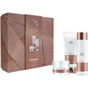 Wella Fusion Premium Holiday Box 3 pc.